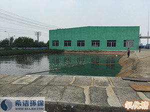 污水磷超标现场&ldquo;氧塘&rdquo;