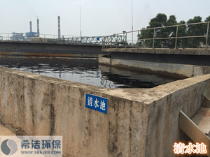 污水磷超标现场&ldquo;清水池&rdquo;